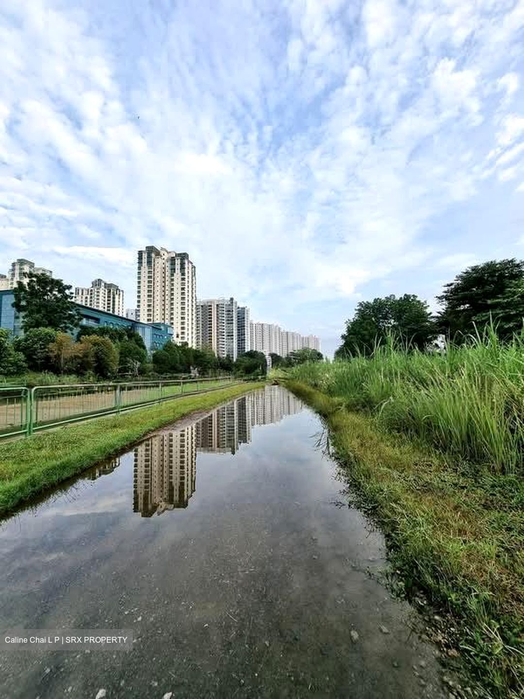 Yew Mei Green (D23), Condominium #581699201